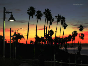 Dawn Long Beach Palms, by George Alger