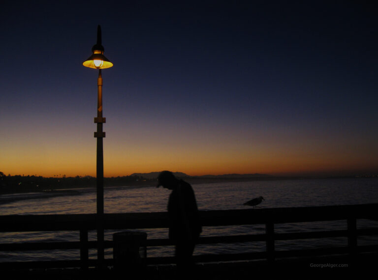 Sunrise Contemplation – Man and Bird