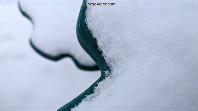 Winter Green, by George Alger