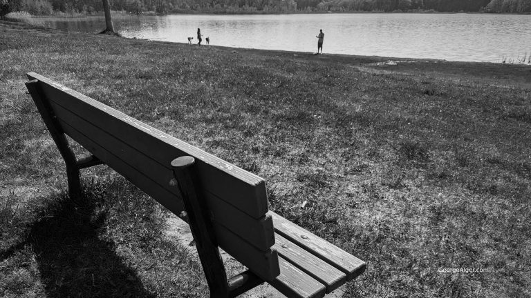 Beachside Bench, by George Alger