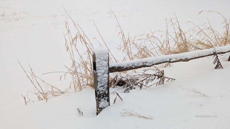 The Quiet, by George Alger